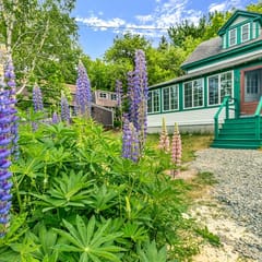 The Salty Pines - Near the Harbor!