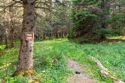 Acadia Nature Escape · New! Acadia Nature Escape w/Trails + Wate