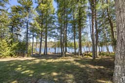 Beech Hill Pond Camp · Beech Hill Pond Camp!