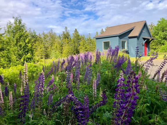 Wonderland Home · Wonderland Home | 2BR retreat, mins to Acadia