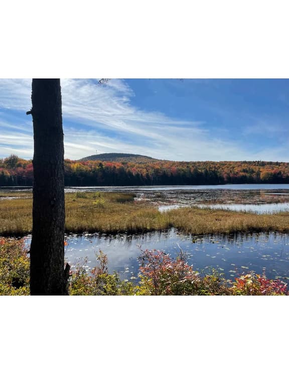Pine Hill Cottage · Serene Pondside Cottage w/Private Island Cam