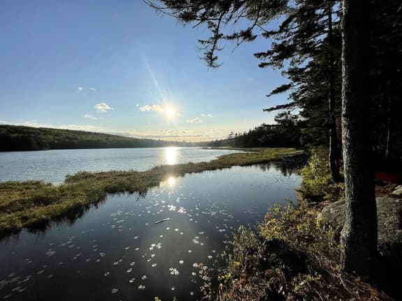Cabin on Noyes Pond  · Rustic and Stylish Cabin on Stunning Sere