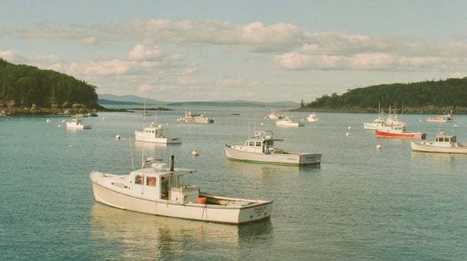 What To Do In Bar Harbor